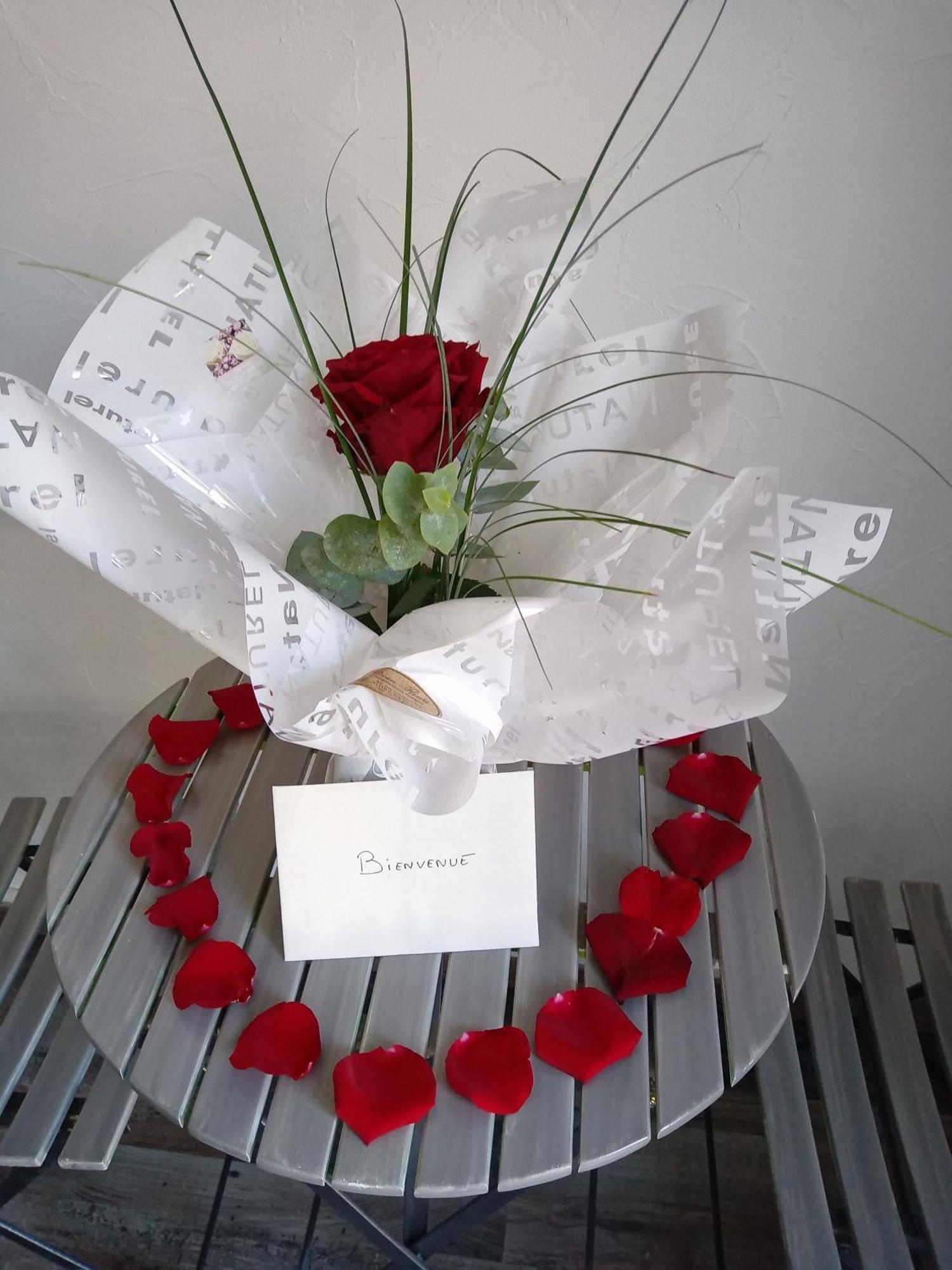 Studio Les Coquelicots Saint-Romain-sur-Cher Екстериор снимка