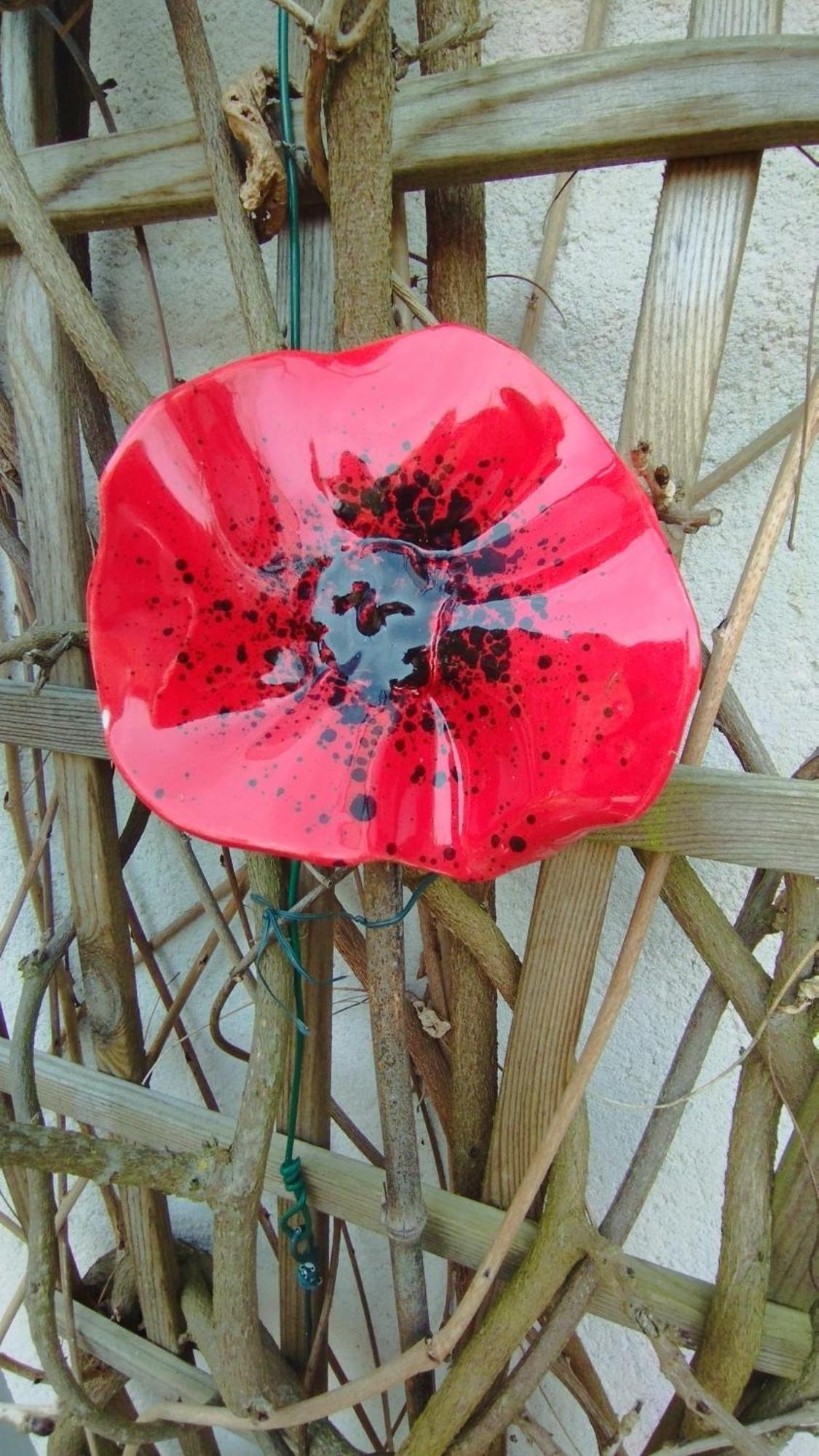 Studio Les Coquelicots Saint-Romain-sur-Cher Екстериор снимка