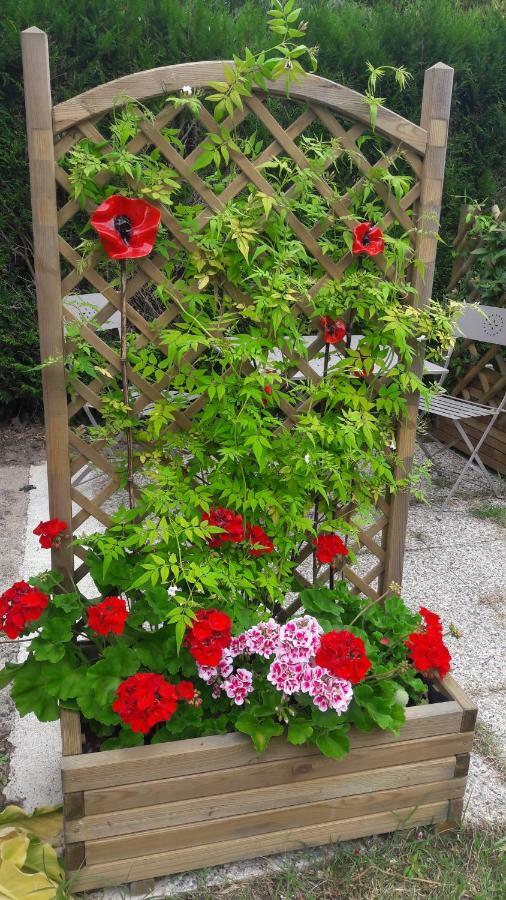 Studio Les Coquelicots Saint-Romain-sur-Cher Екстериор снимка
